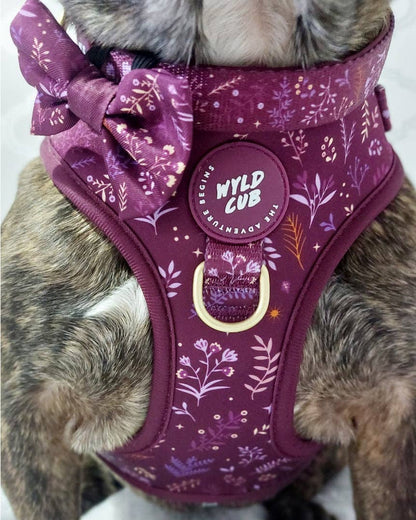 Dog Dickie Bow: Chiswick Fig