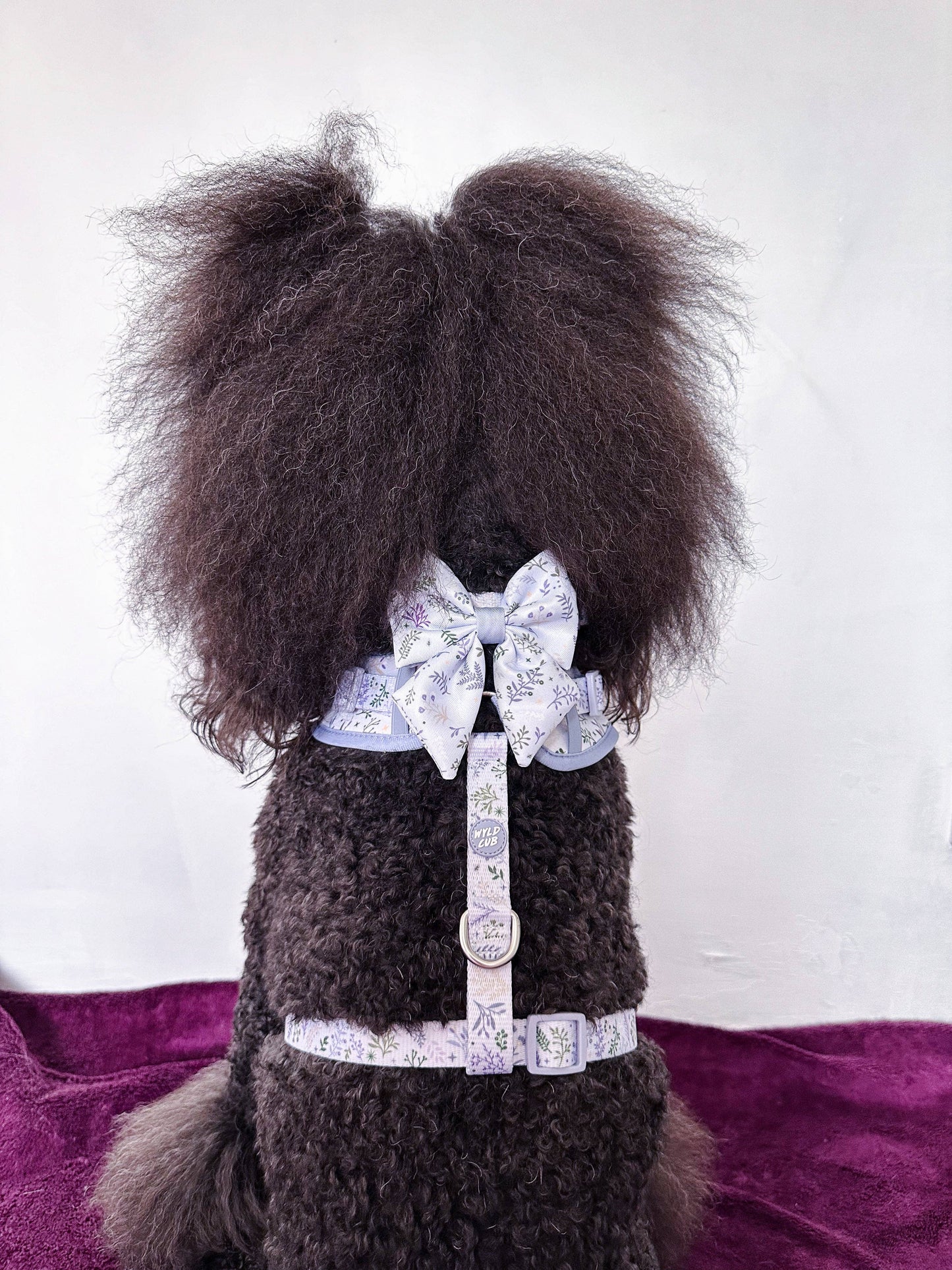 Dog Sailor Bow: Chiswick Thistle