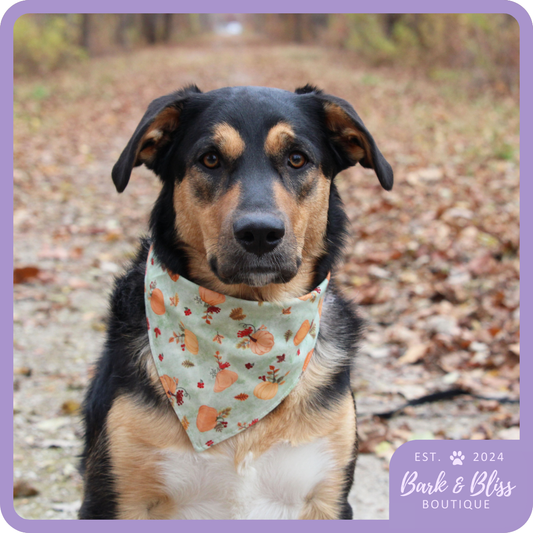 Fall Pumpkins Bandana