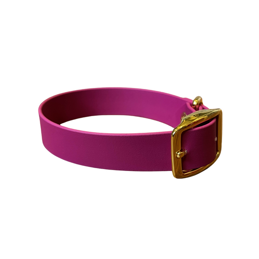 Magenta Biothane Collar