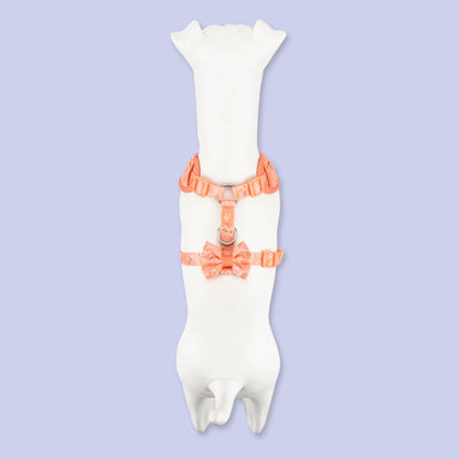 Adjustable Dog Harness: Chiswick Papaya