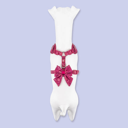 Adjustable Dog Harness: Chiswick Dragonfruit