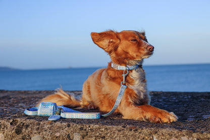 Adjustable Dog Collar: Belgravia Macaron