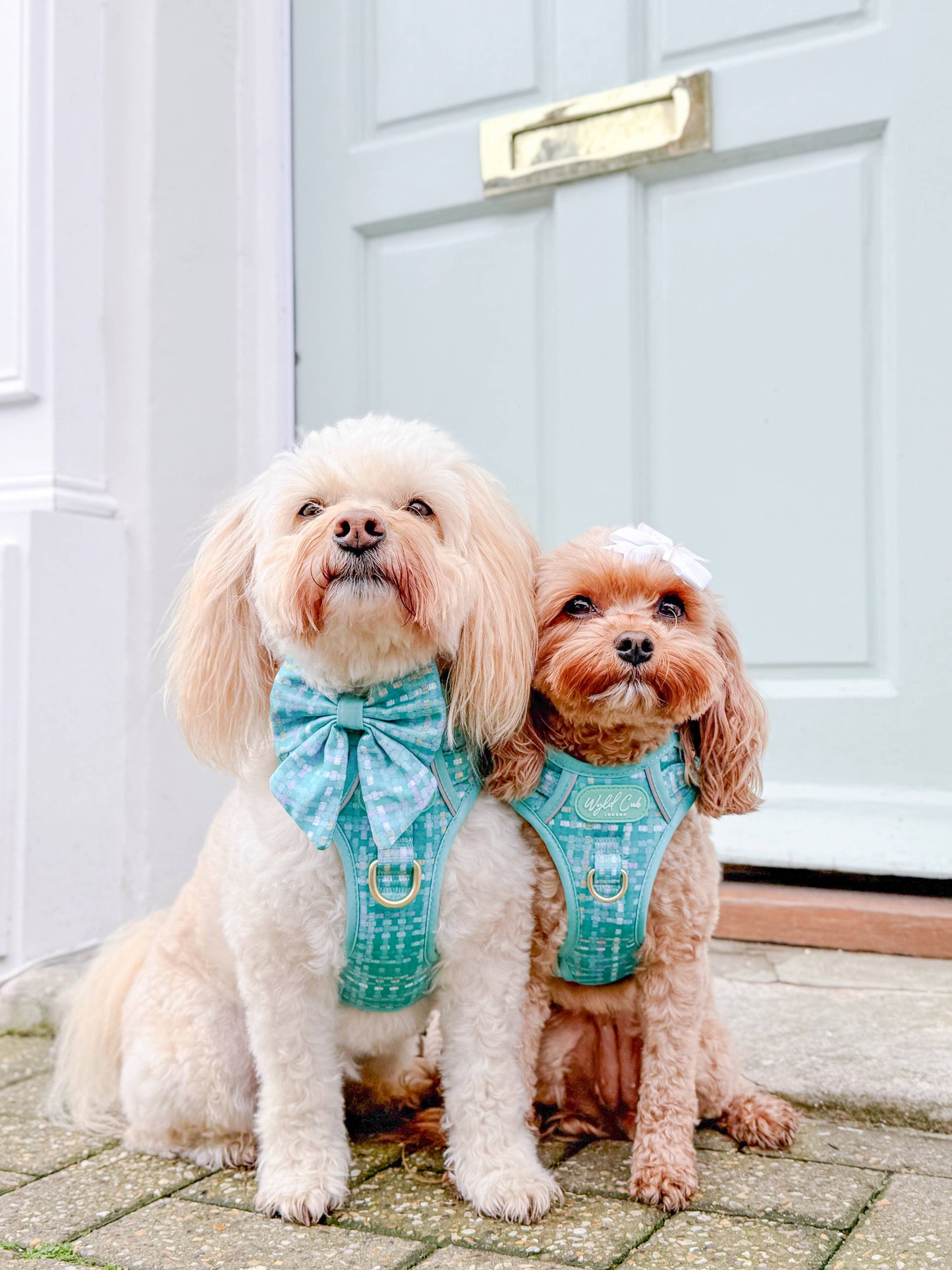 Dog Sailor Bow: Belgravia Sweetpea