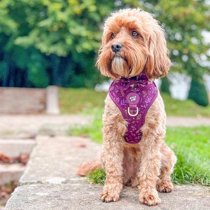 Dog Dickie Bow: Chiswick Fig