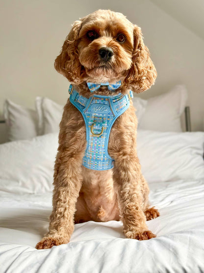 Step & Switch® Dog Harness: Belgravia Macaron