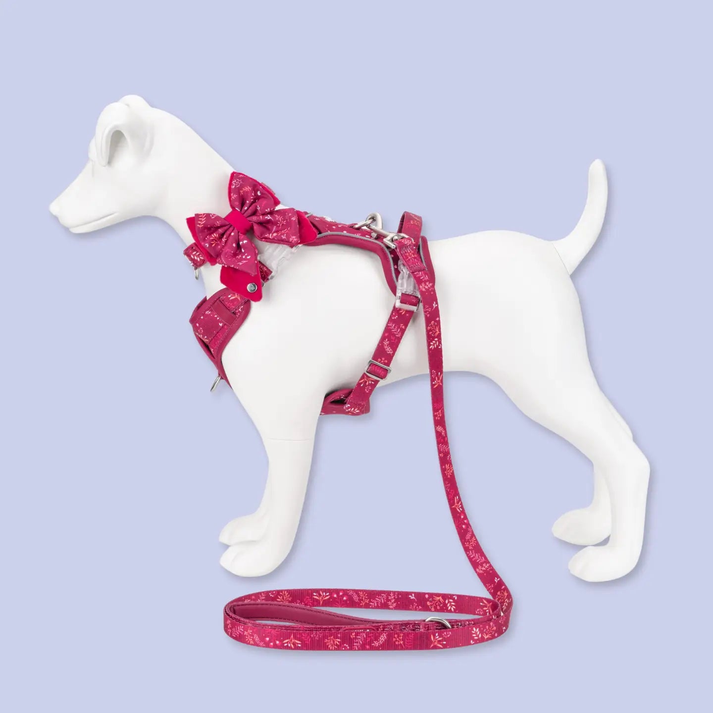 Dog Butterfly Bow: Chiswick Dragonfruit