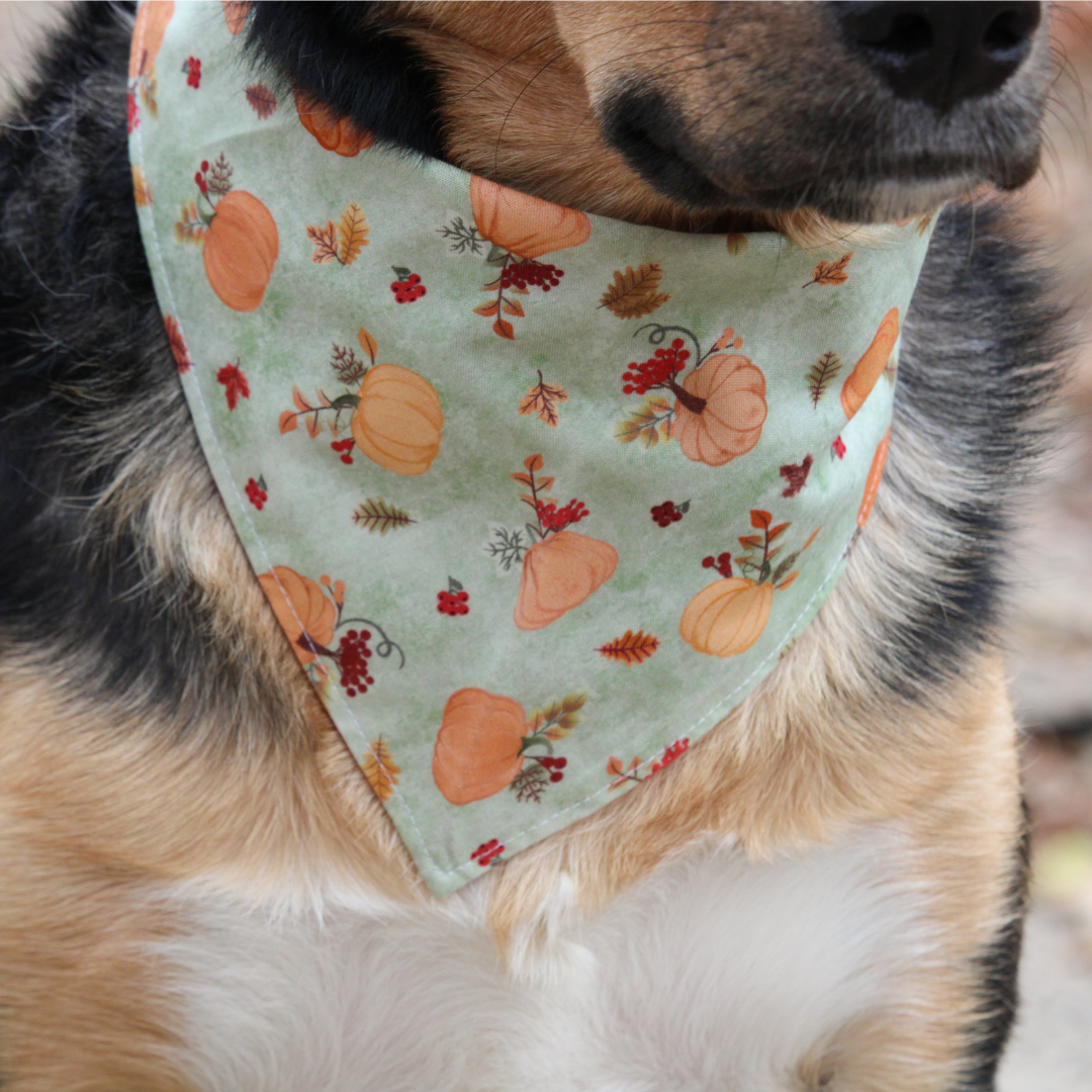Fall Pumpkins Bandana
