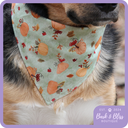 Fall Pumpkins Bandana