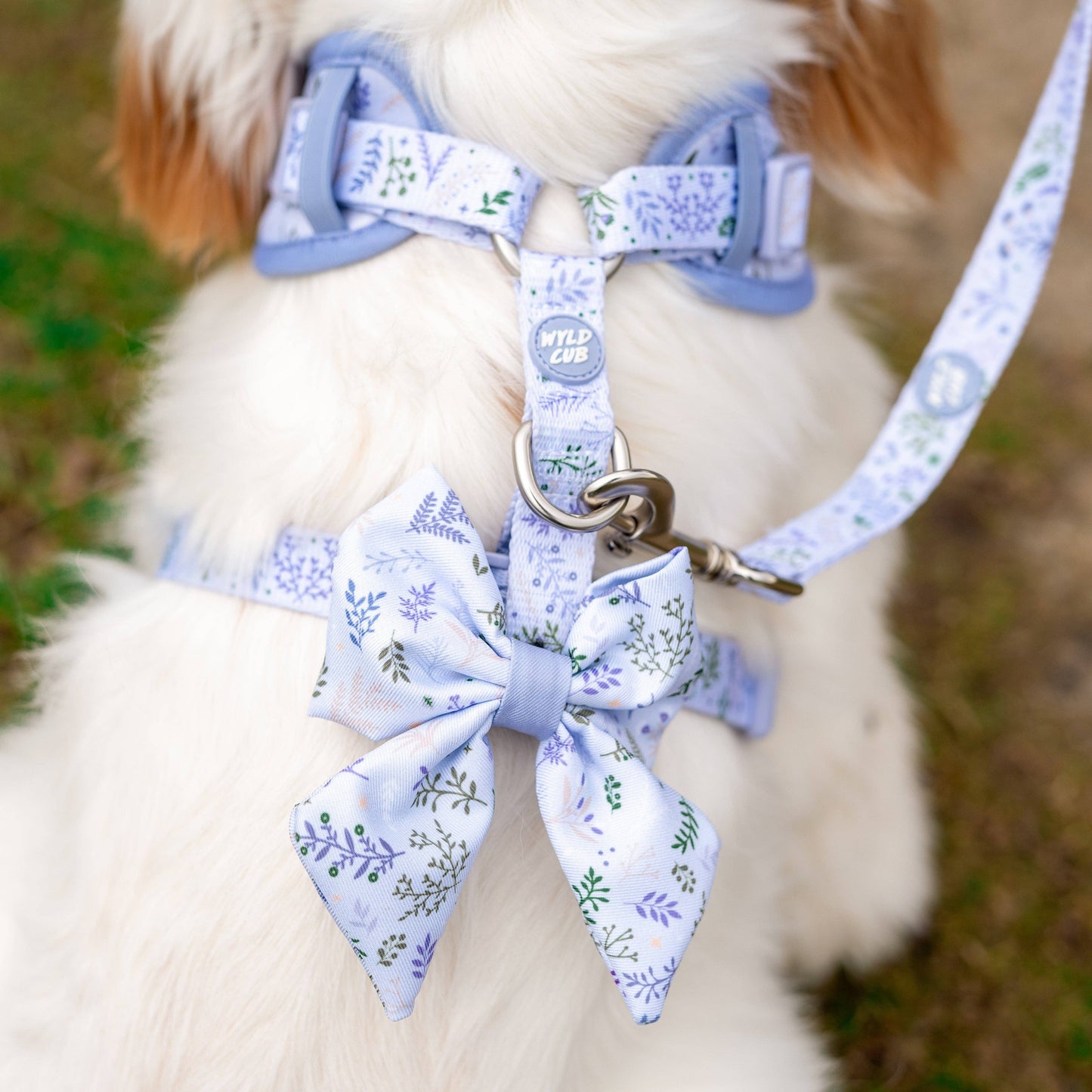 Dog Sailor Bow: Chiswick Thistle