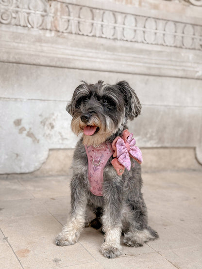 Dog Butterfly Bow: Chiswick Rosewood