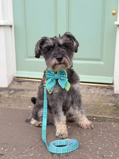 Dog Lead: Belgravia Sweetpea