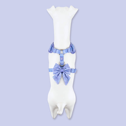 Adjustable Dog Harness: Chiswick Aeris