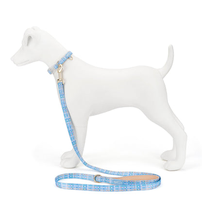 Adjustable Dog Collar: Belgravia Macaron