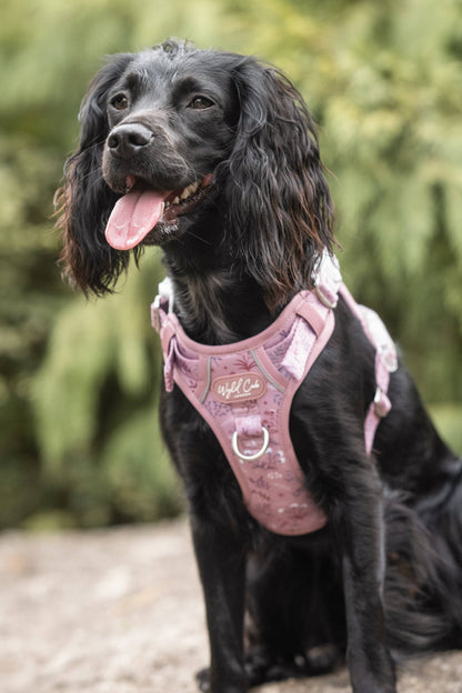 Step & Switch® Dog Harness: Chiswick Rosewood