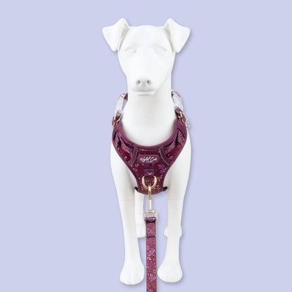 Step & Switch® Dog Harness: Chiswick Fig