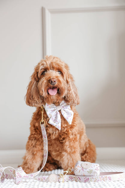 Dog Sailor Bow Tie: Chiswick Oyster