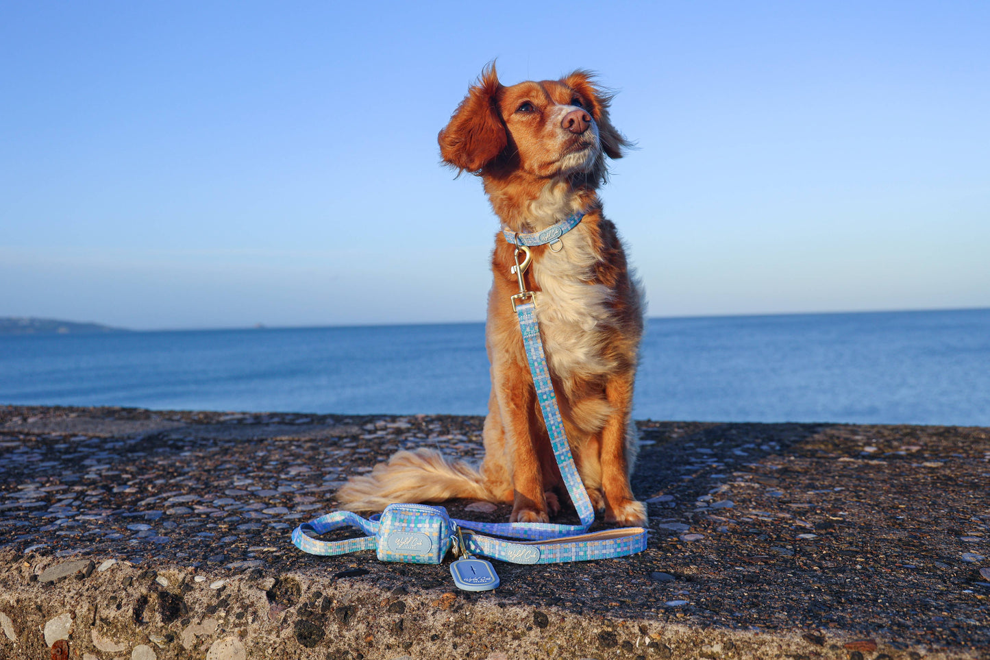 Dog Lead: Belgravia Macaron