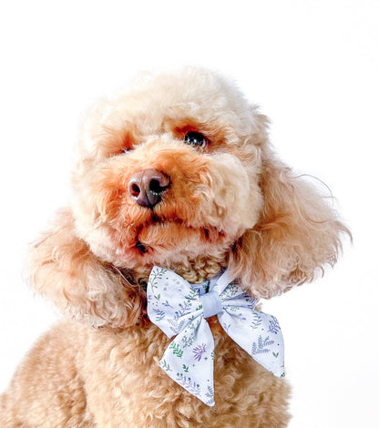 Dog Sailor Bow: Chiswick Thistle
