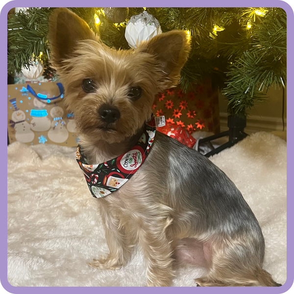 Customer photo for Christmas Cookies Bandana