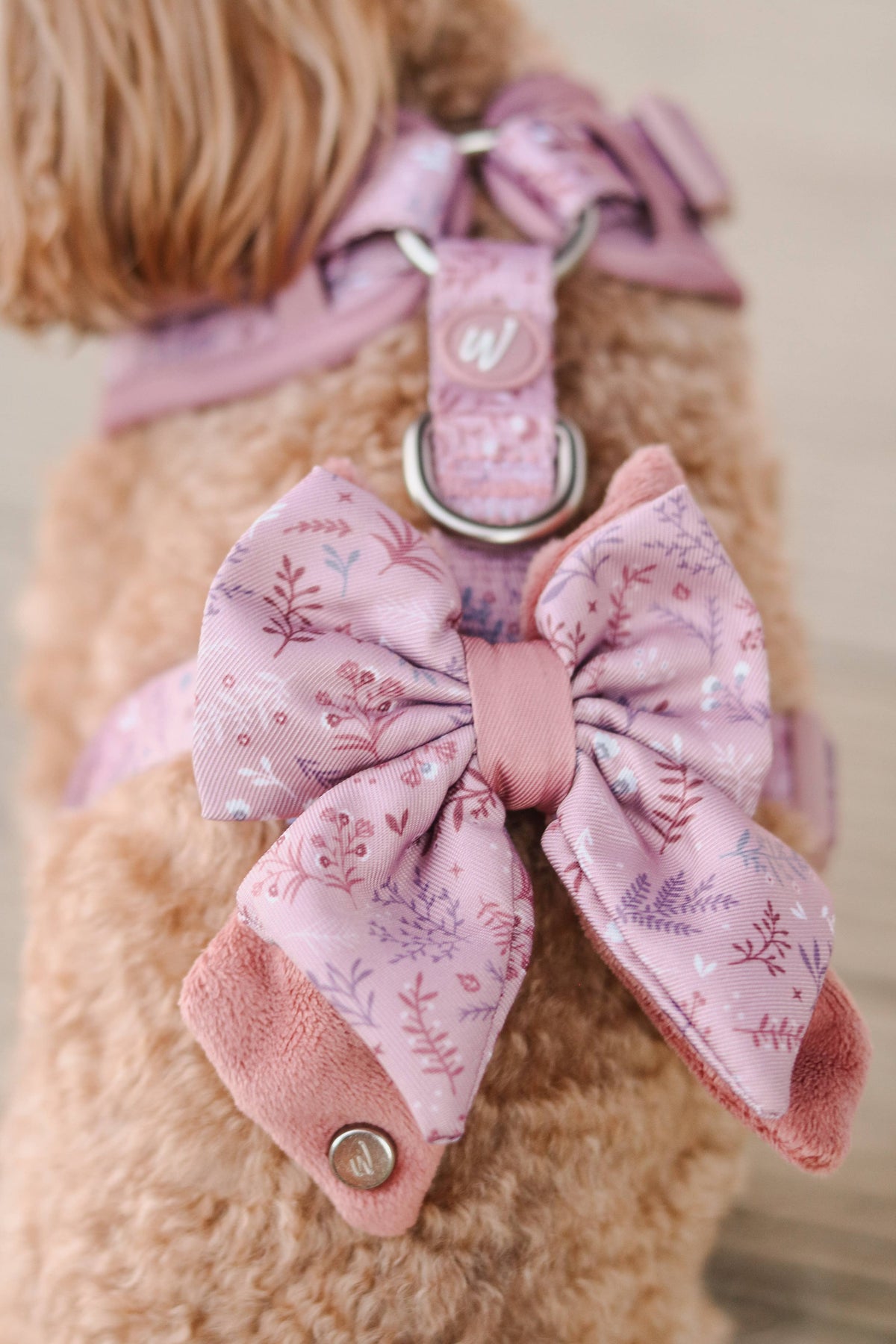 Dog Butterfly Bow: Chiswick Rosewood