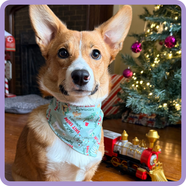 Customer photo for Holiday Shit Show Supervisor Bandana