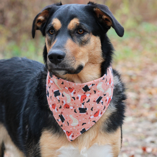 Halloween Goose Bandana