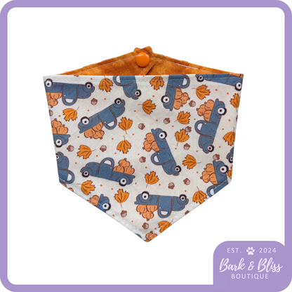 Mama's Pumpkin Bandana