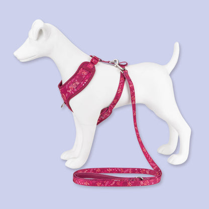 Adjustable Dog Harness: Chiswick Dragonfruit
