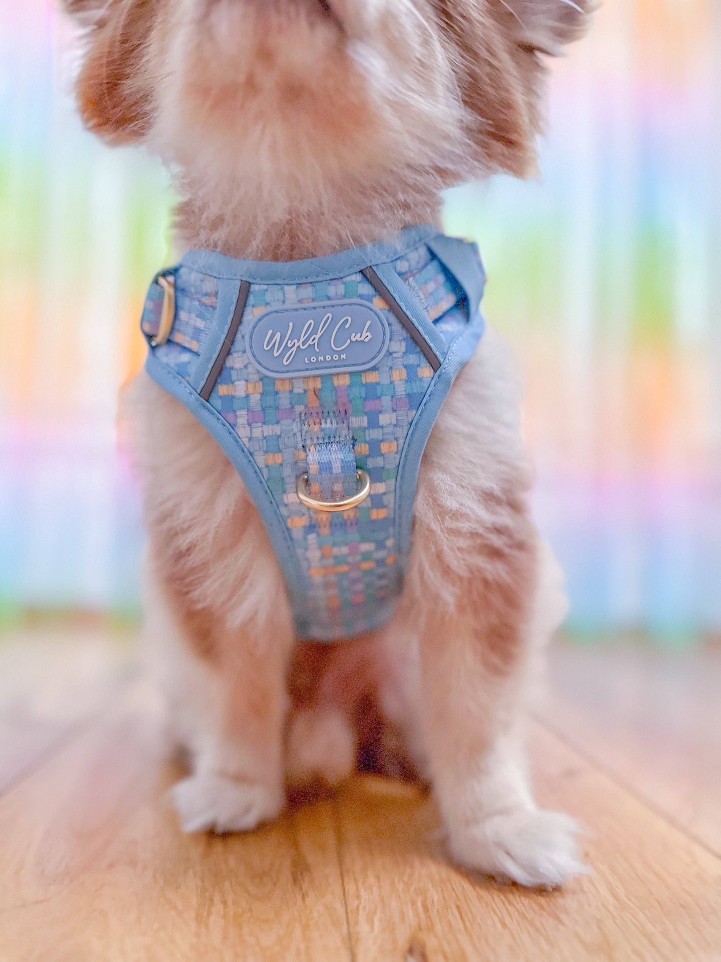 Step & Switch® Dog Harness: Belgravia Macaron