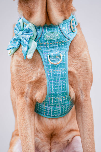 Step & Switch® Dog Harness: Belgravia Sweetpea