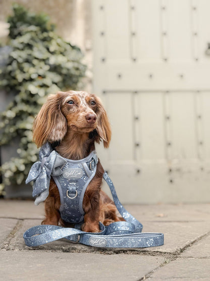Step & Switch® Dog Harness: Chiswick Dovetail