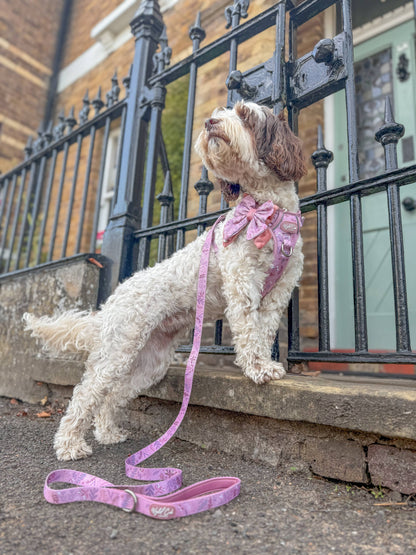 Dog Lead: Chiswick Rosewood
