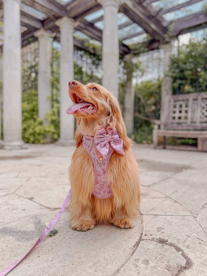 Dog Butterfly Bow: Chiswick Rosewood