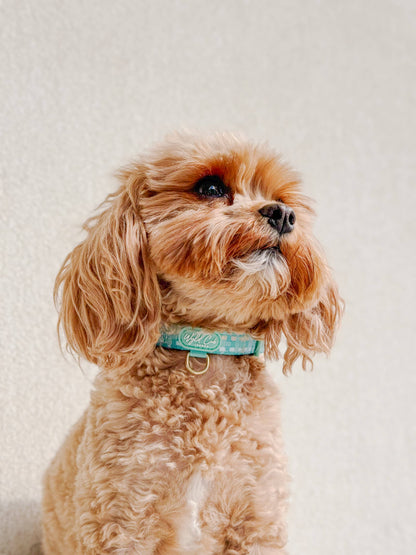 Adjustable Dog Collar: Belgravia Sweetpea