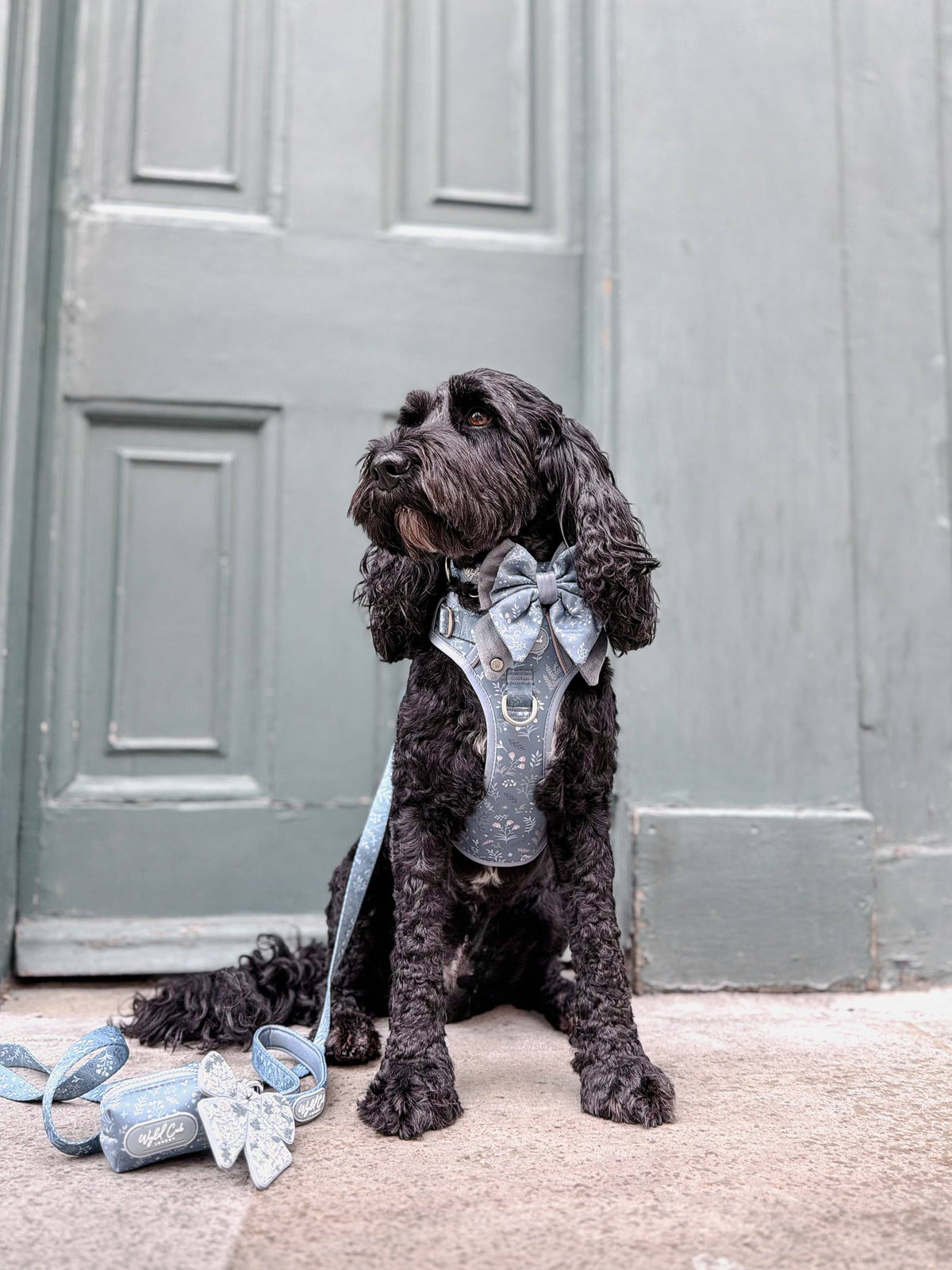 Dog Poop Bag Holder: Chiswick Dovetail