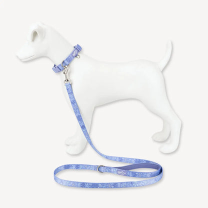 Adjustable Dog Collar: Chiswick Aeris