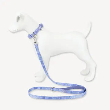 Dog Lead: Chiswick Aeris