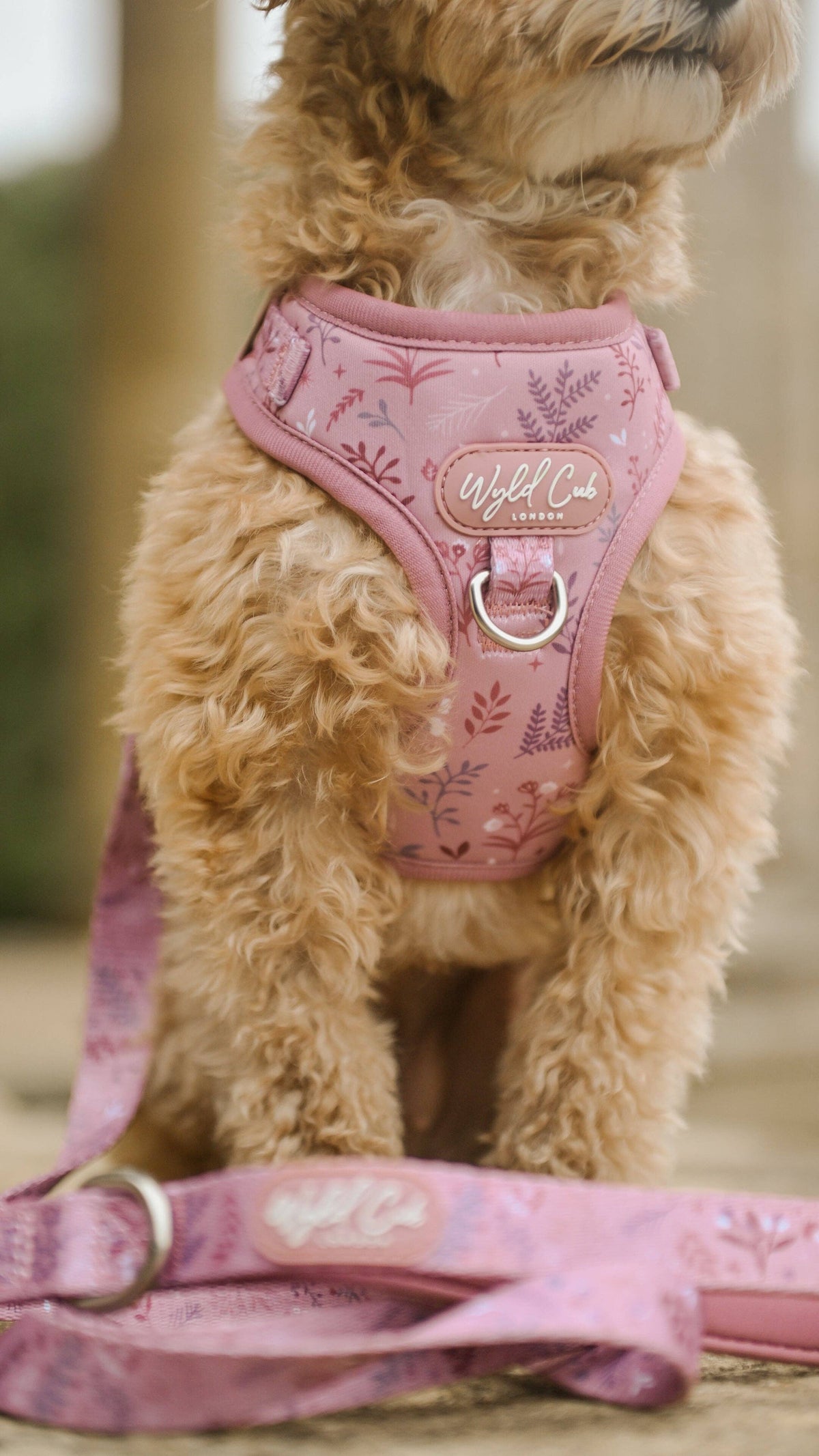 Adjustable Dog Harness: Chiswick Rosewood