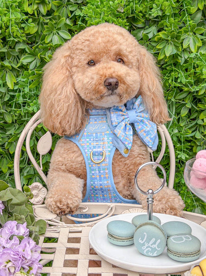 Dog Butterfly Bow: Belgravia Macaron