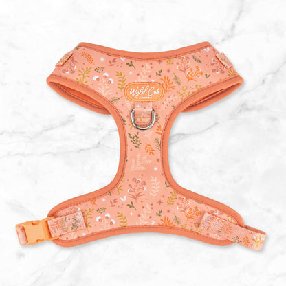 Adjustable Dog Harness: Chiswick Papaya