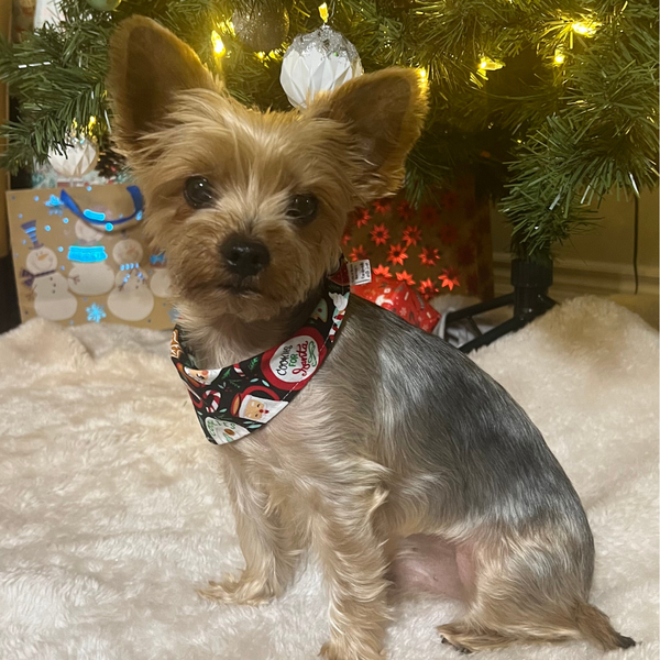 Customer photo for Christmas Cookies Bandana