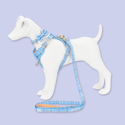 Dog Dickie Bow: Belgravia Macaron