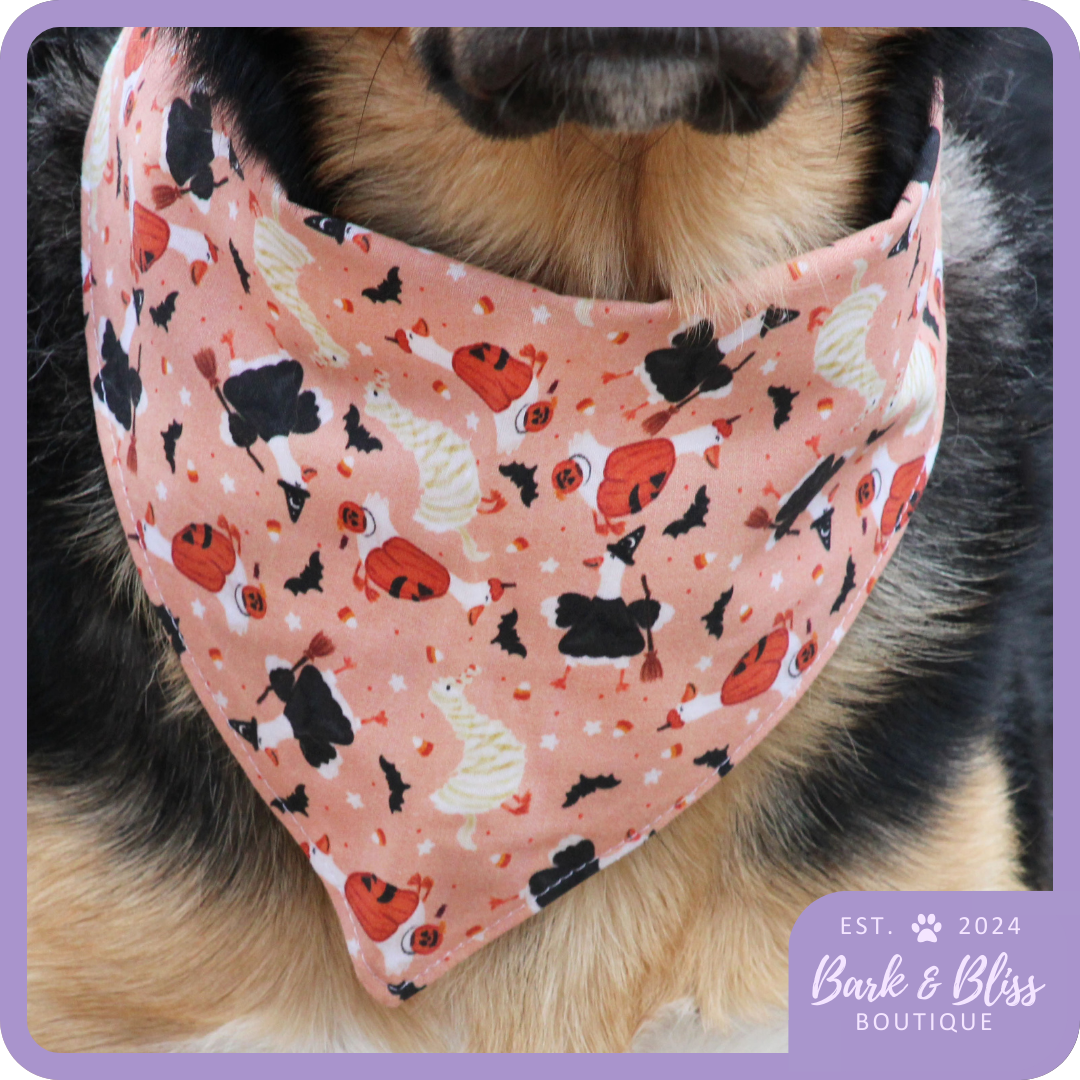 Halloween Goose Bandana