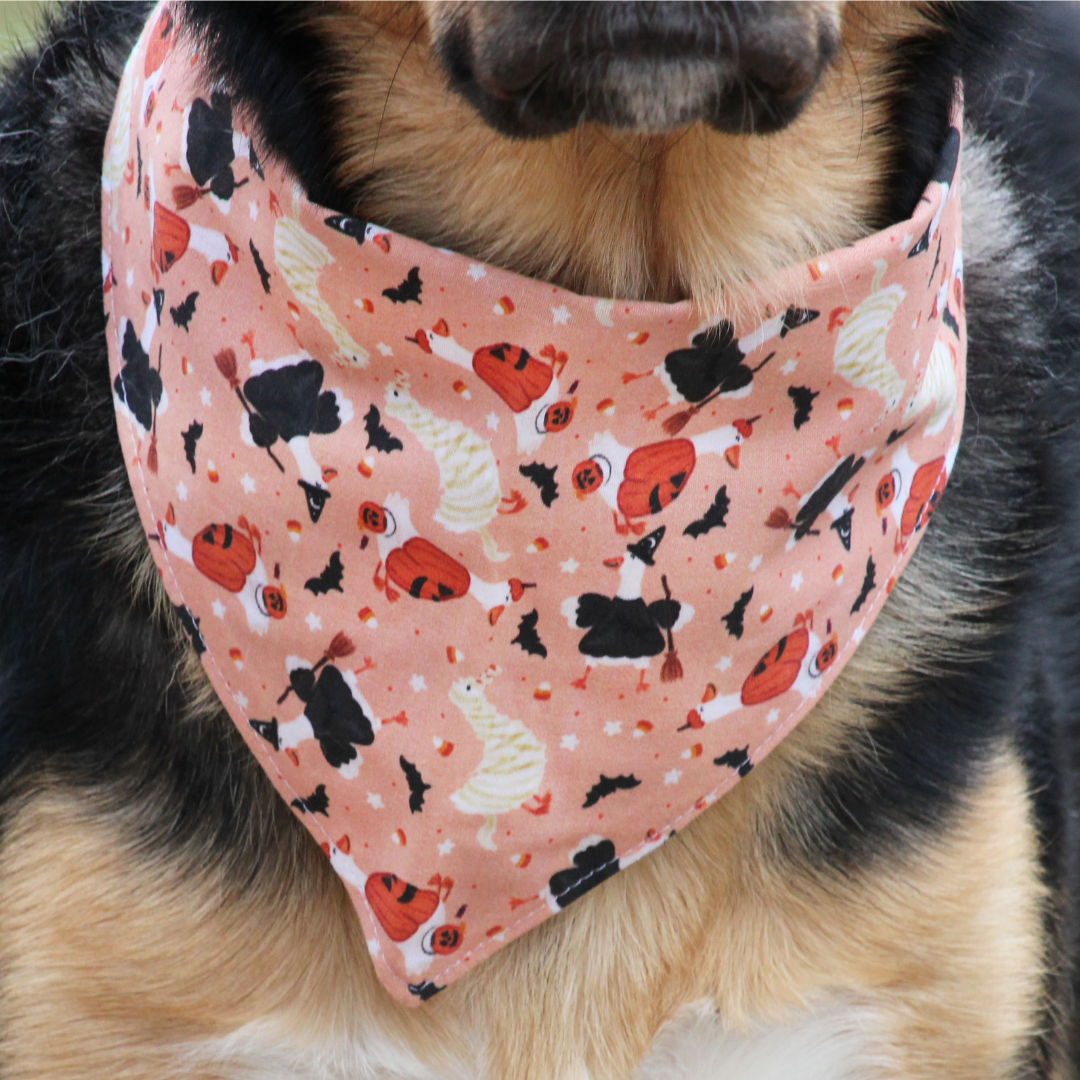 Halloween Goose Bandana