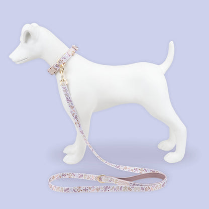 Adjustable Dog Collar: Chiswick Oyster