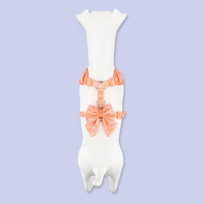 Adjustable Dog Harness: Chiswick Papaya