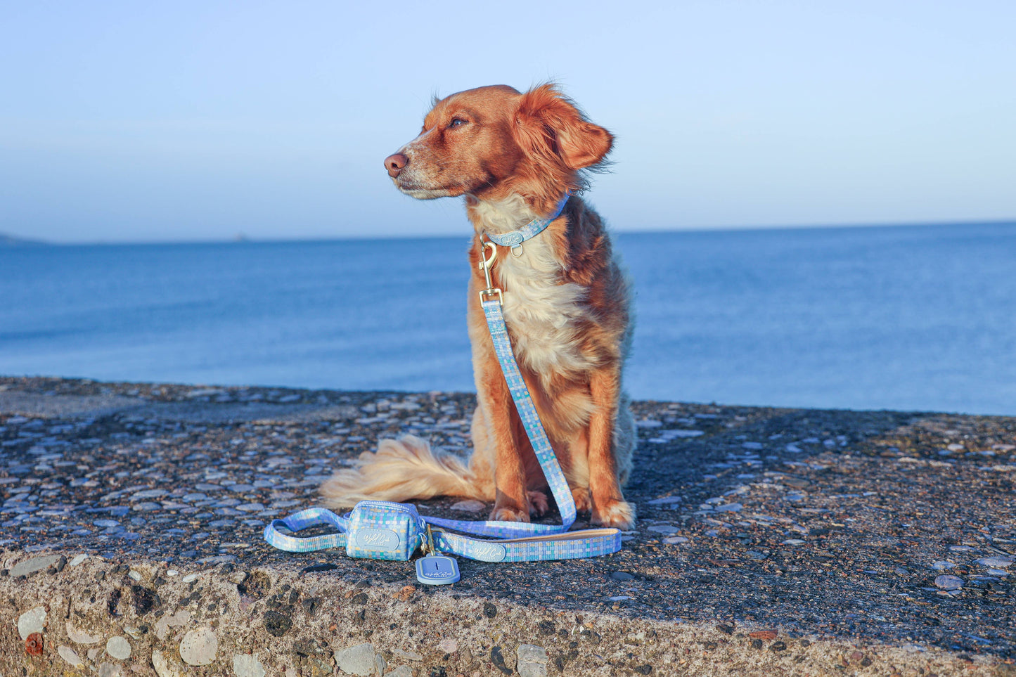Dog Poop Bag Holder: Belgravia Macaron
