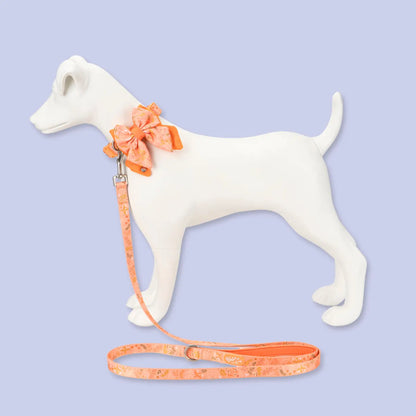 Dog Butterfly Bow: Chiswick Papaya