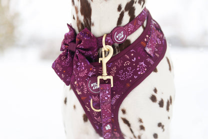 Dog Sailor Bow: Chiswick Fig